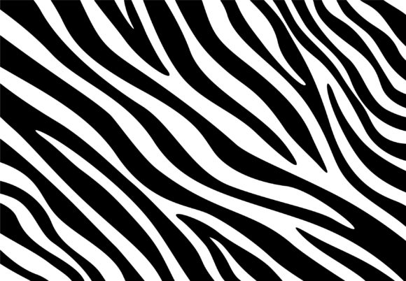 Zebra Print, Zebra Spots, Zebra Patterns